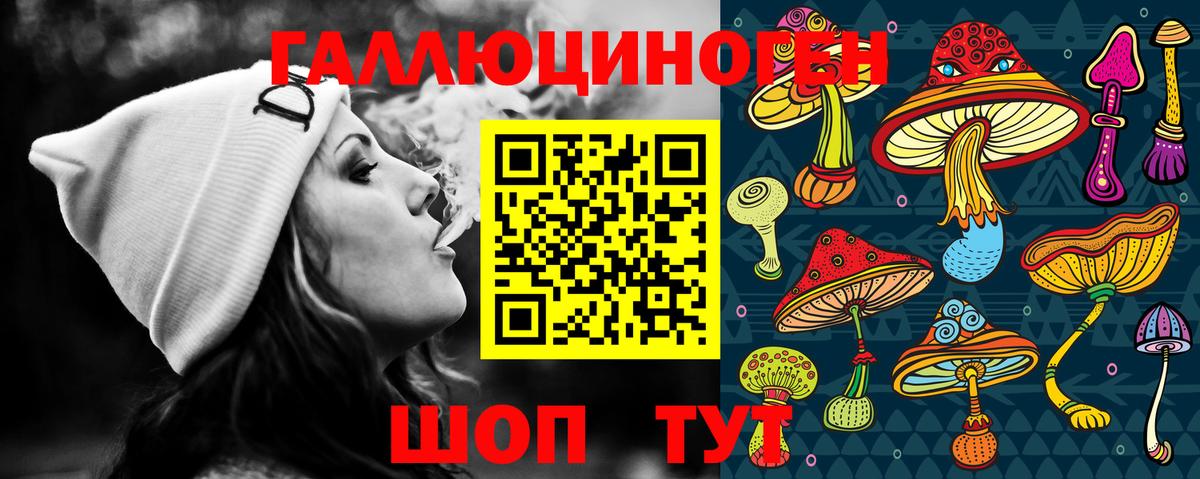 Псилоцибиновые грибы Psilocybine cubensis Таганрог