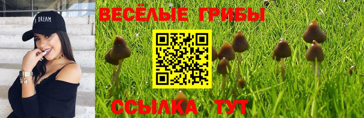 Галлюциногенные грибы Psilocybe  Вход с VPN  Таганрог 